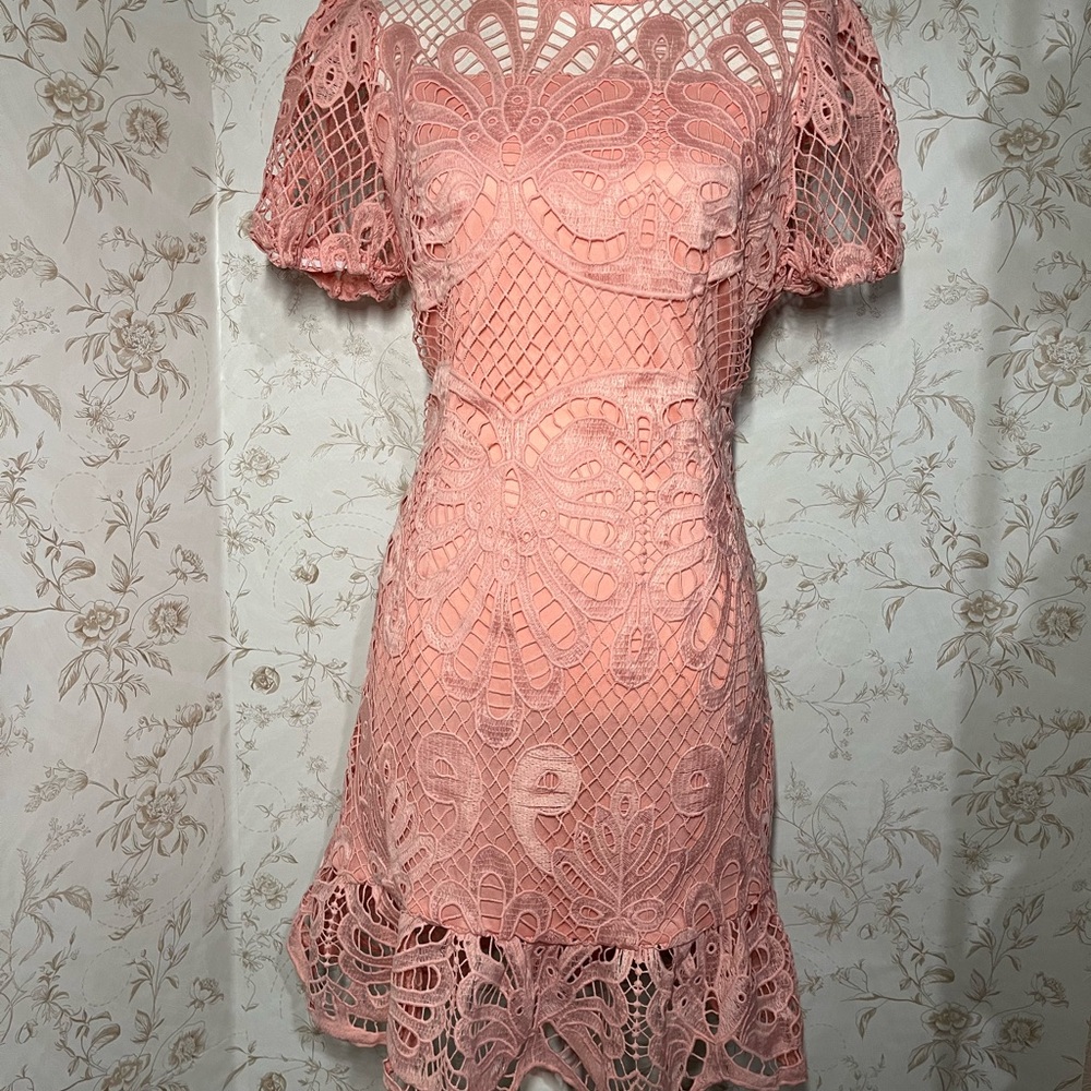 SHEIN Blush Lace Mini Dress